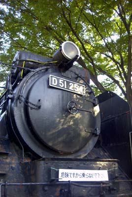 D51-254