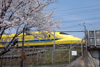 桜とドクターイエロー