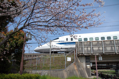 桜と700系