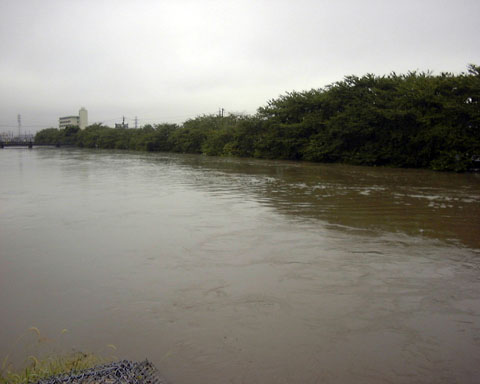 東海豪雨時の五条川(長者橋から船杁橋方面を望む)