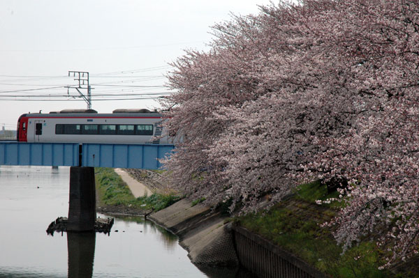 船杁橋から名鉄本線橋を望む