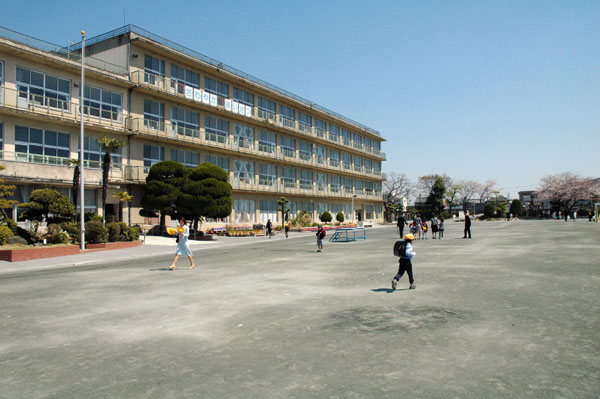 20110406b.jpg