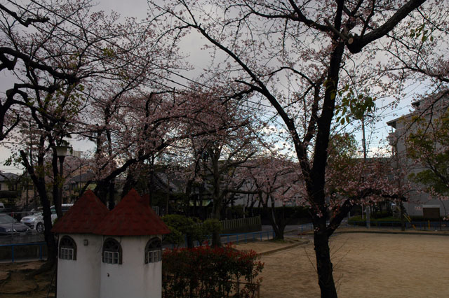 20120408ar.jpg