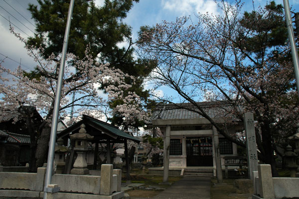 20120408f.jpg