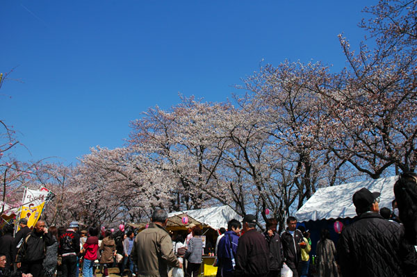 20120408o.jpg