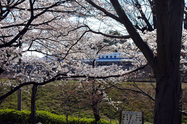 20120408v.jpg