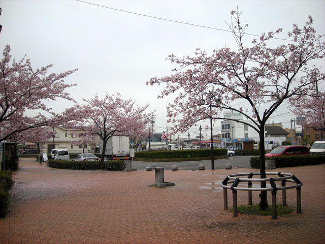 20120414l.jpg