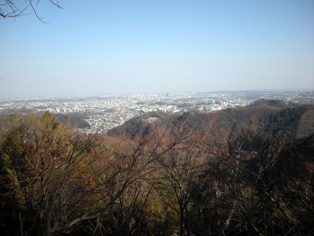 20130102a.jpg